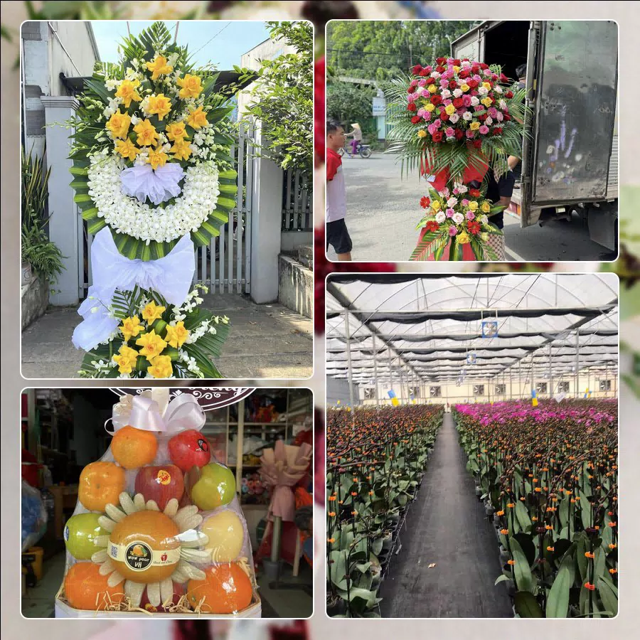 Shop Hoa Tươi Phường Trấn Biên - Tỉnh Đồng Nai