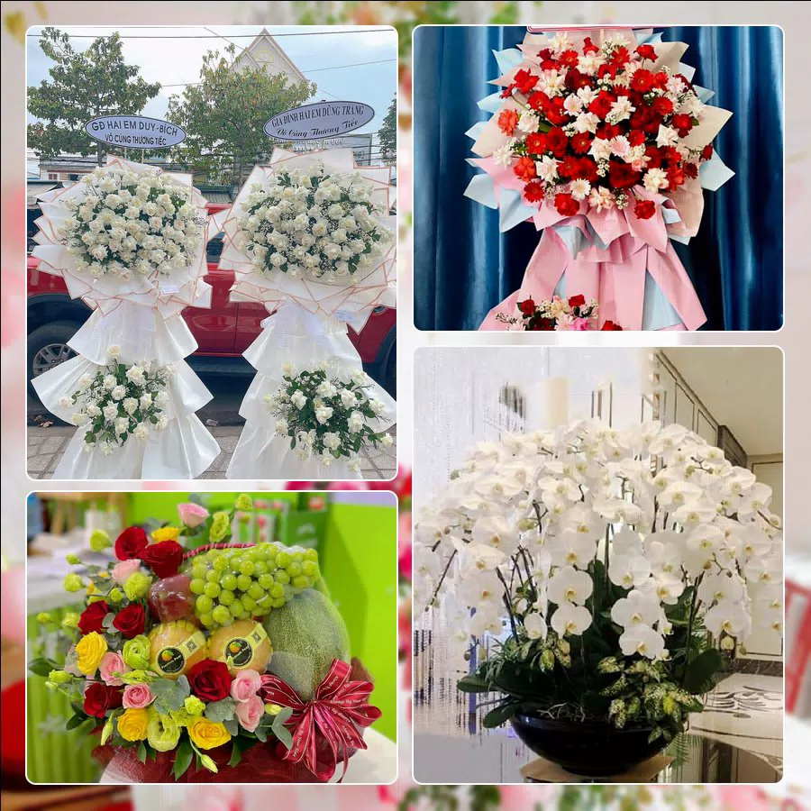 Shop Hoa Tươi Phường Rạch Giá - Tỉnh An Giang