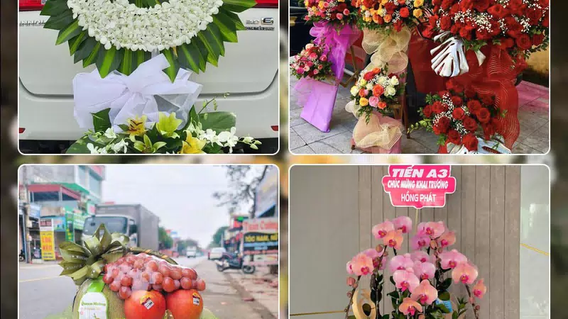 Shop Hoa Tươi Phường Hòa Xuân - Thành phố Đà Nẵng