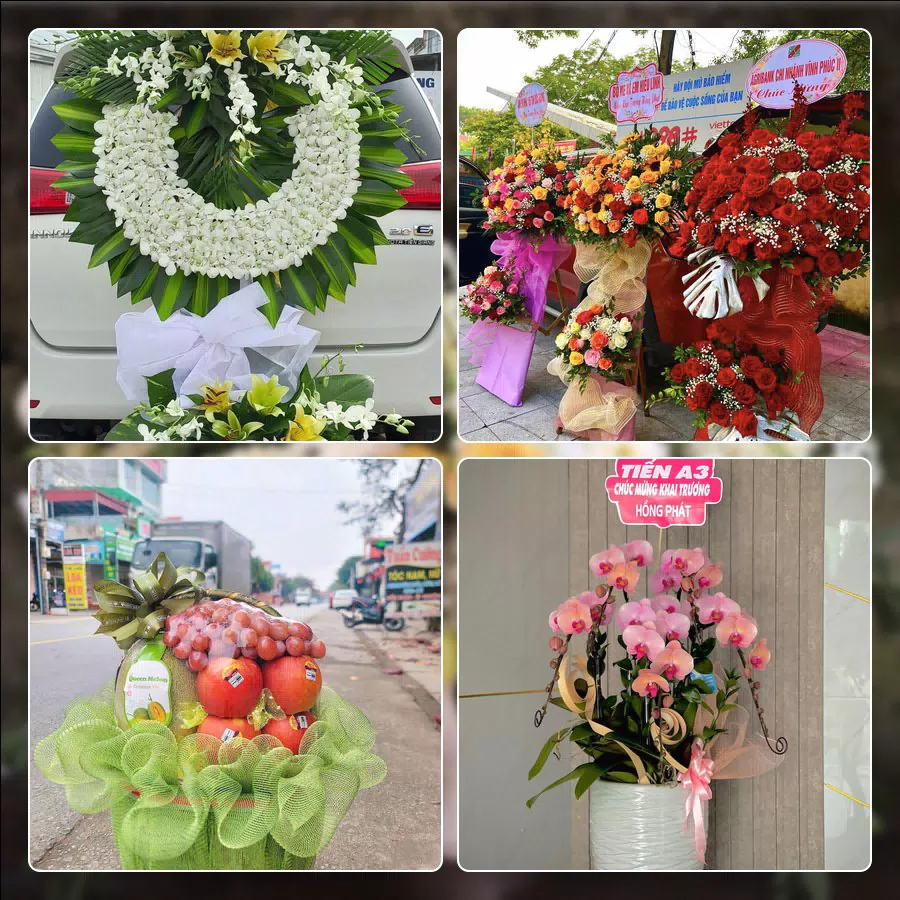 Shop Hoa Tươi Phường Hòa Xuân - Thành phố Đà Nẵng