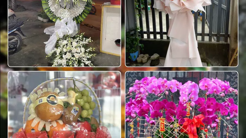 Shop Hoa Tươi Phường Tân Sơn Hòa - Thành phố Hồ Chí Minh