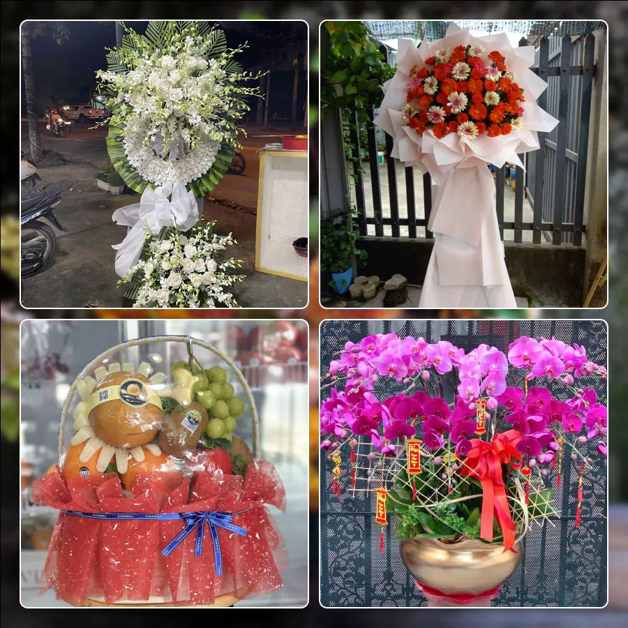 Shop Hoa Tươi Phường Tân Sơn Hòa - Thành phố Hồ Chí Minh