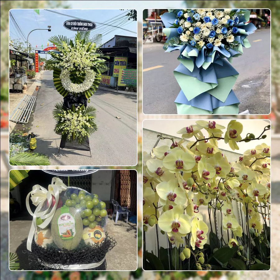 Shop Hoa Tươi Phường An Hải - Thành phố Hải Phòng