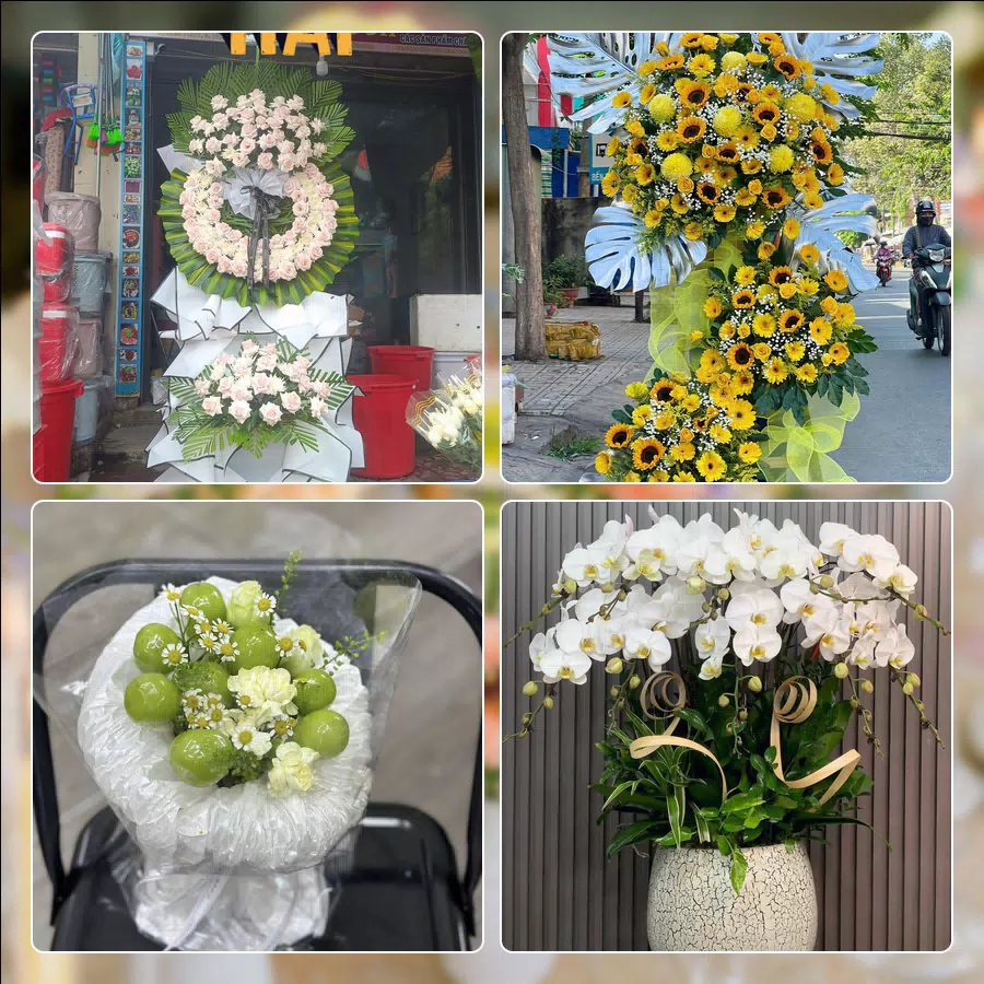 Shop Hoa Tươi Phường Thành Vinh - Tỉnh Nghệ An