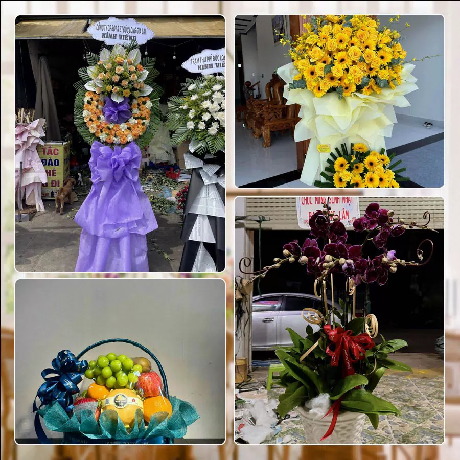 Shop Hoa Tươi Phường Thành Vinh - Tỉnh Nghệ An