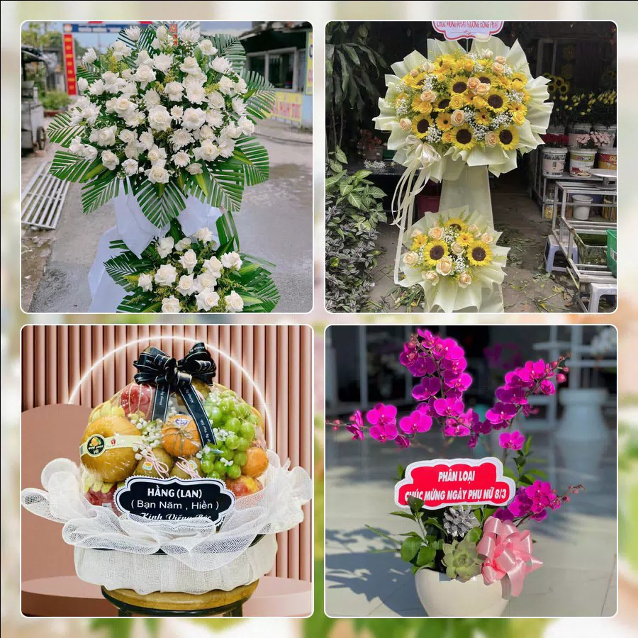 Shop Hoa Tươi Phường Long Xuyên - Tỉnh An Giang