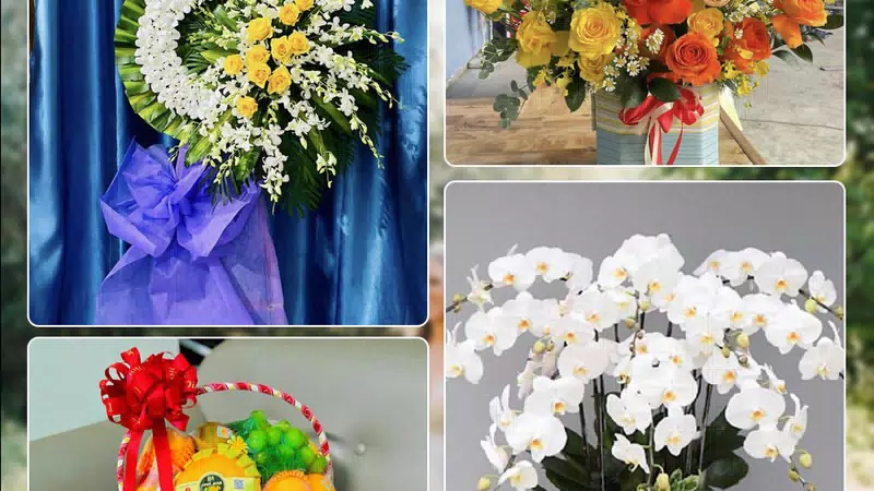 Shop Hoa Tươi Phường Thuận Hóa - Thành phố Huế