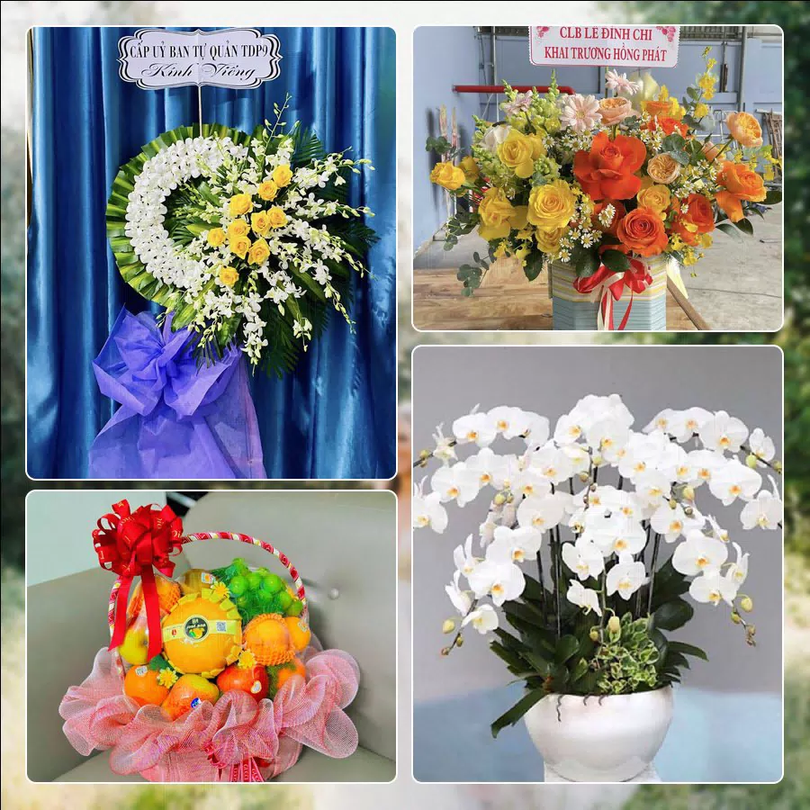 Shop Hoa Tươi Phường Thuận Hóa - Thành phố Huế