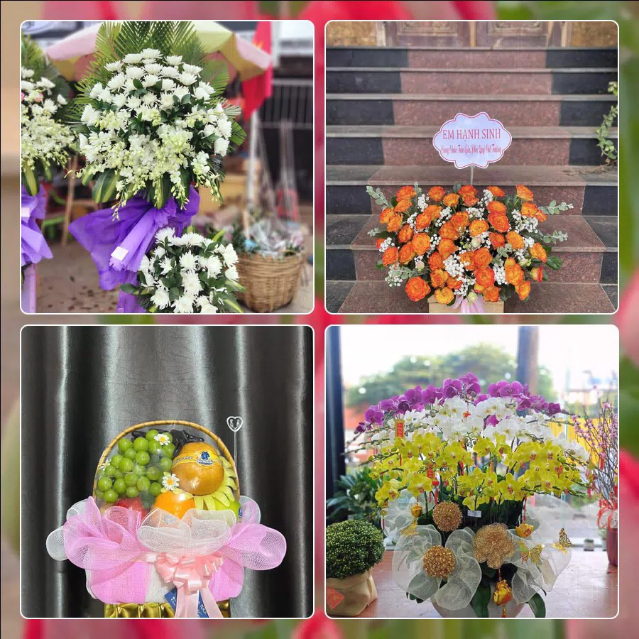 Shop Hoa Tươi Phường Thuận Hóa - Thành phố Huế