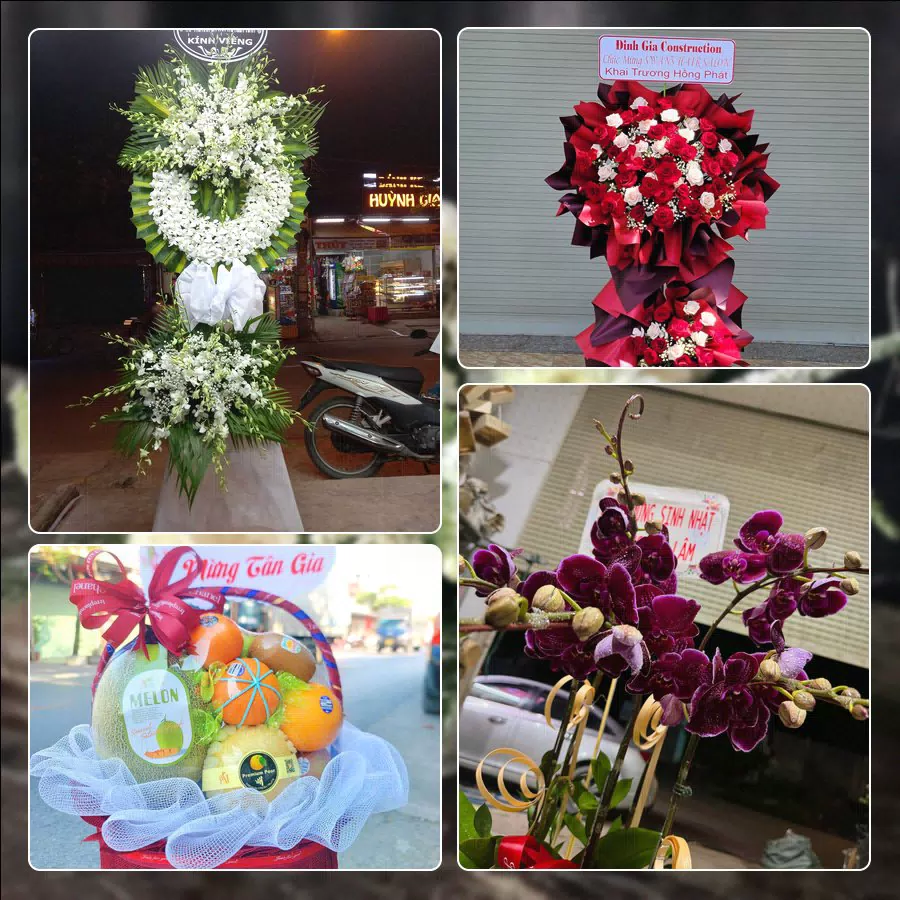 Shop Hoa Tươi Phường Trường Vinh - Tỉnh Nghệ An