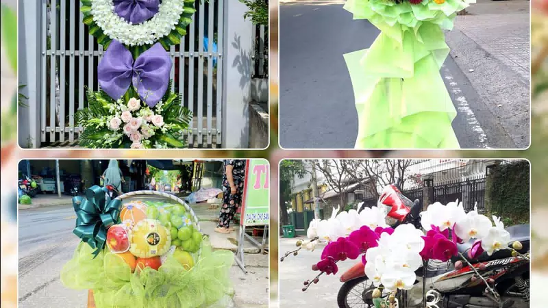 Shop Hoa Tươi Phường Chương Mỹ - Thành phố Hà Nội