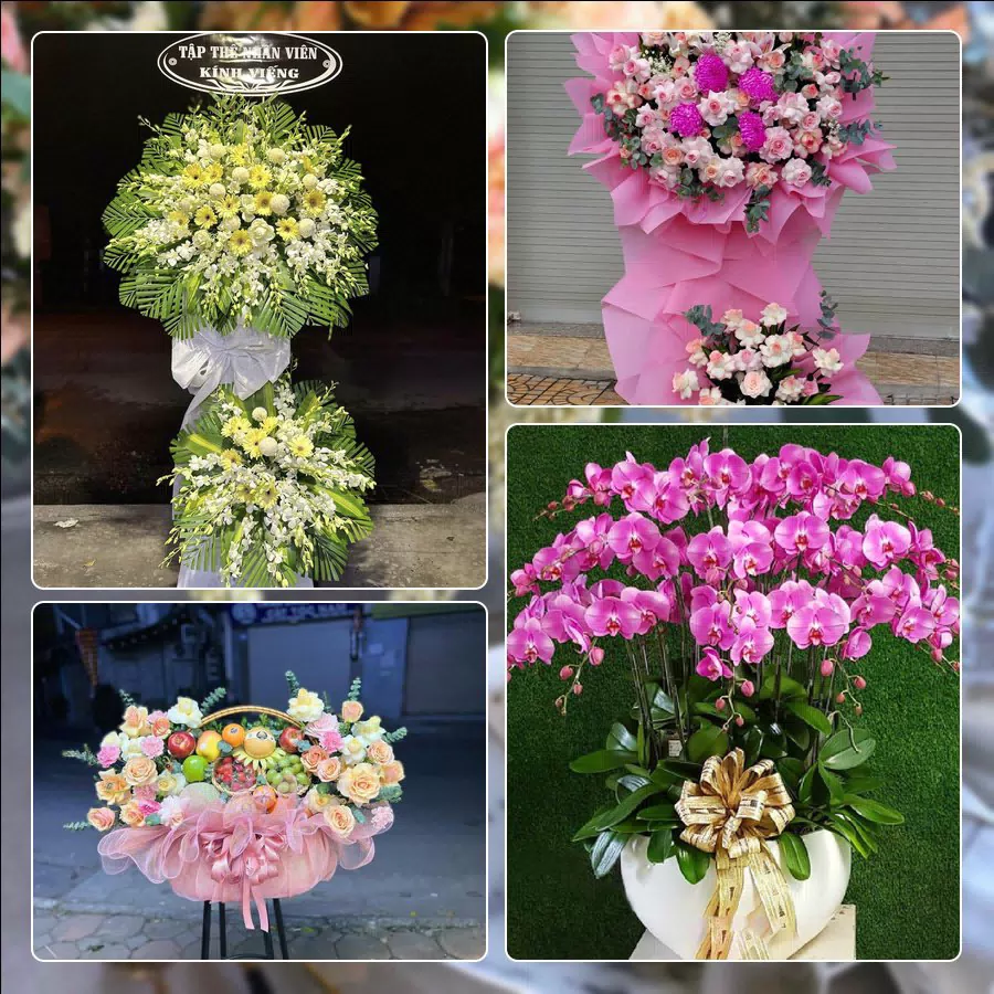 Shop Hoa Tươi Phường Phan Đình Phùng - Tỉnh Thái Nguyên
