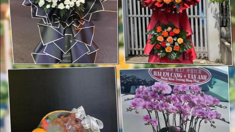 Shop Hoa Tươi Xã Bà Điểm - Thành phố Hồ Chí Minh