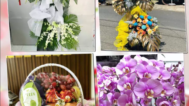 Shop Hoa Tươi Phường Sầm Sơn - Tỉnh Thanh Hóa
