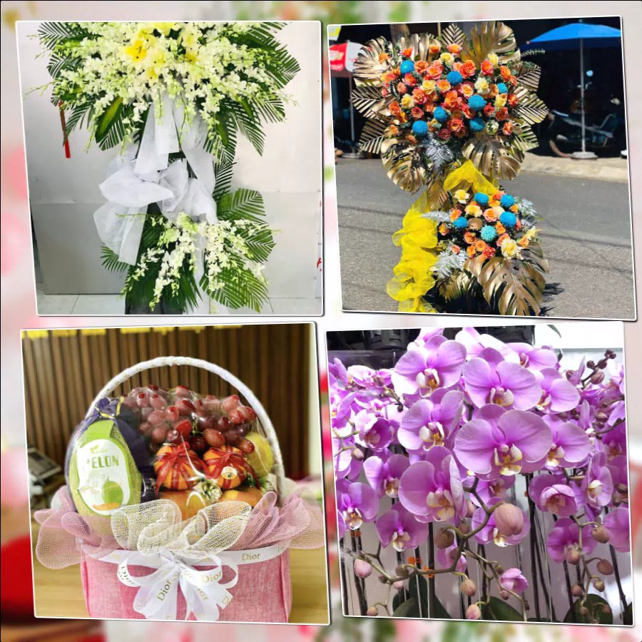 Shop Hoa Tươi Phường Sầm Sơn - Tỉnh Thanh Hóa