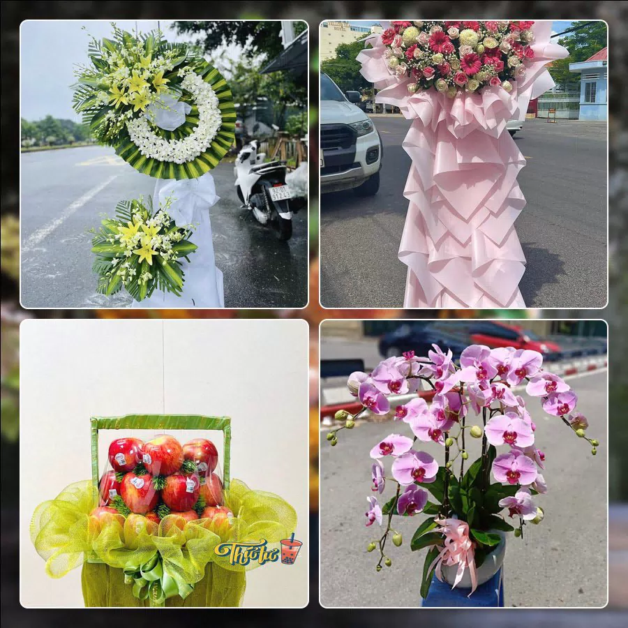 Shop Hoa Tươi Phường Sầm Sơn - Tỉnh Thanh Hóa