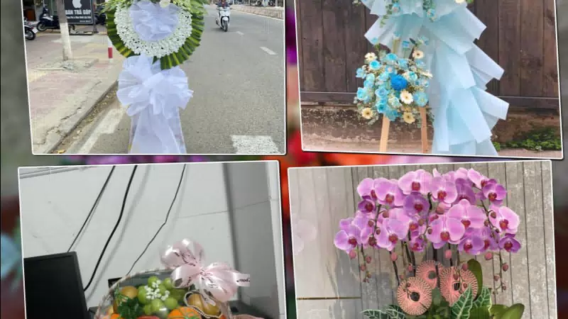 Shop Hoa Tươi Phường Thành Sen - Tỉnh Hà Tĩnh
