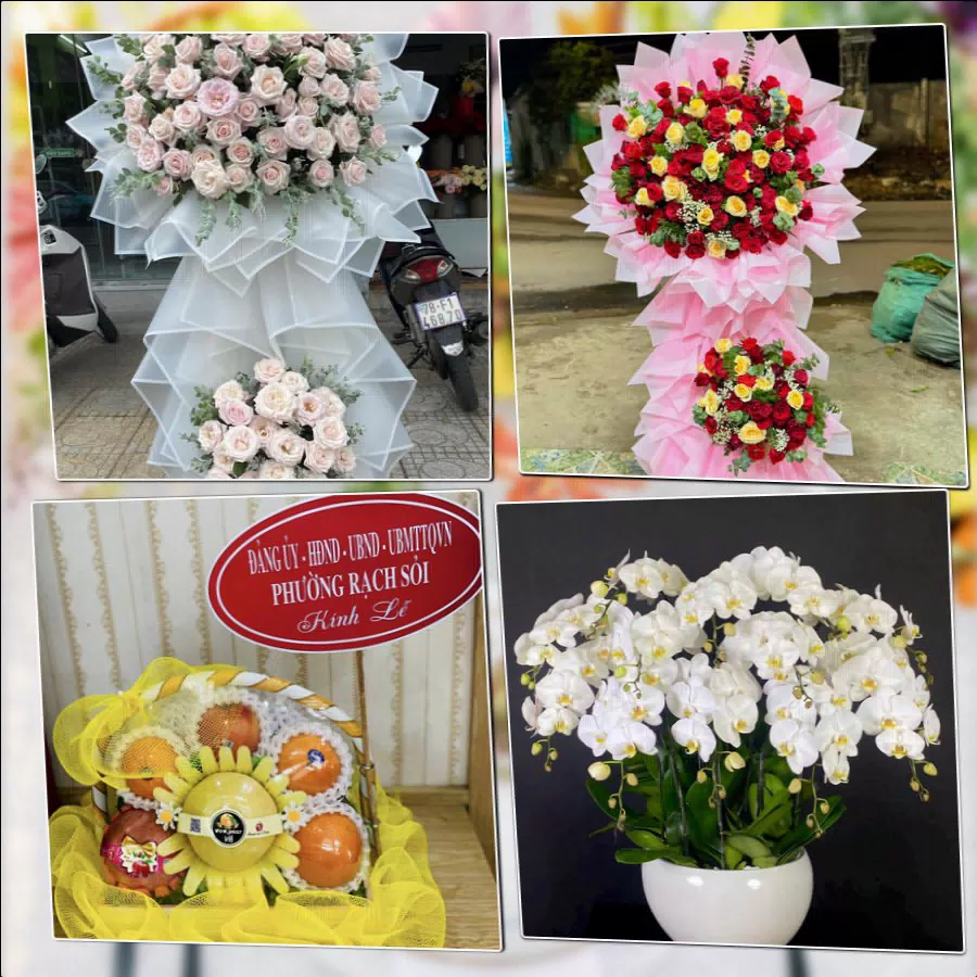 Shop Hoa Tươi Phường Thành Sen - Tỉnh Hà Tĩnh