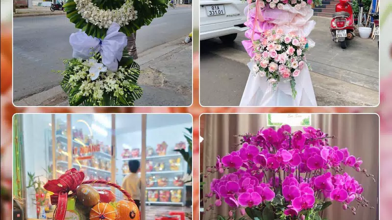 Shop Hoa Tươi Phường Thuận An - Thành phố Hồ Chí Minh