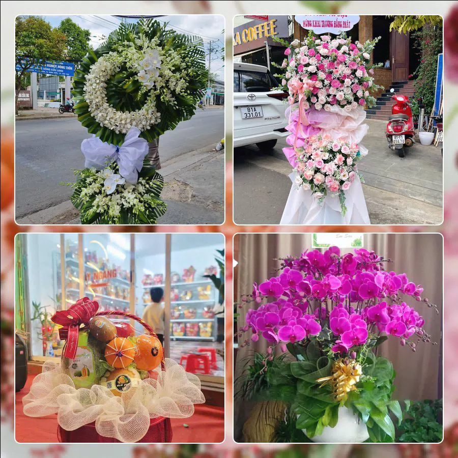 Shop Hoa Tươi Phường Thuận An - Thành phố Hồ Chí Minh