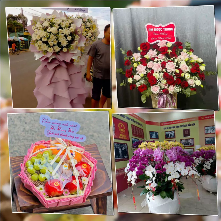 Shop Hoa Tươi Phường An Dương - Thành phố Hải Phòng