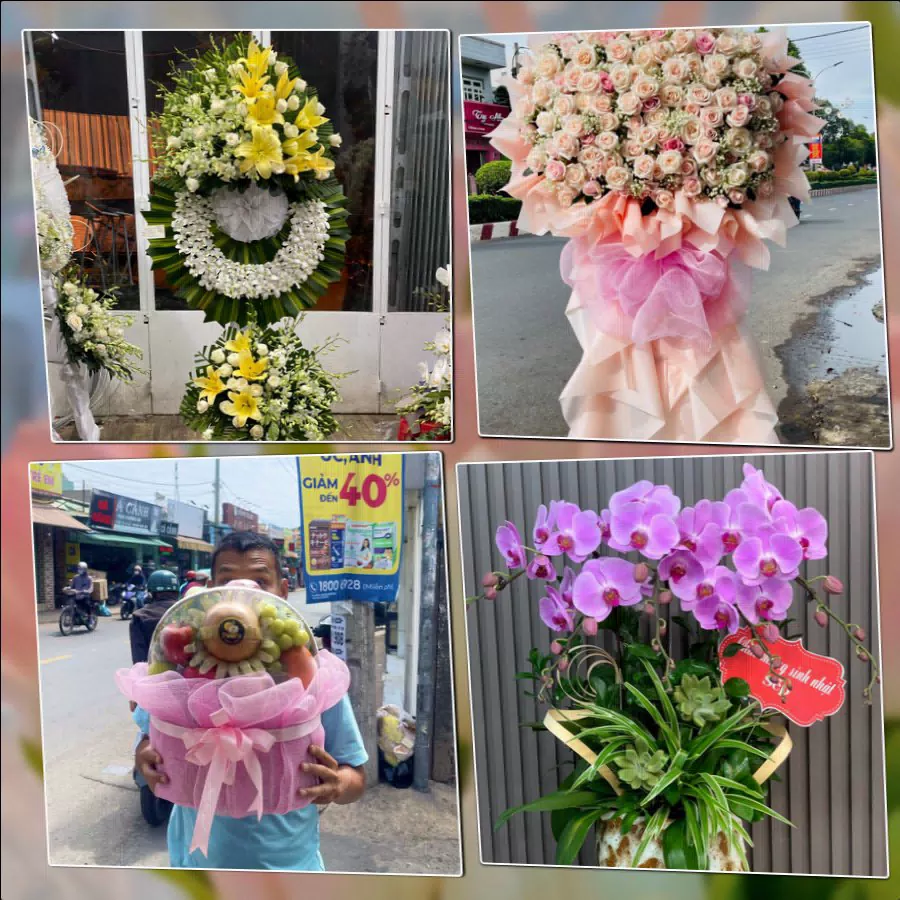 Shop Hoa Tươi Phường An Dương - Thành phố Hải Phòng