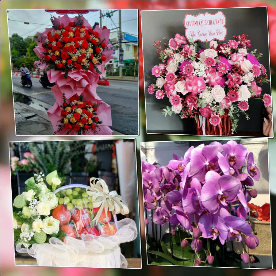 Shop Hoa Tươi Phường Hồng An - Thành phố Hải Phòng