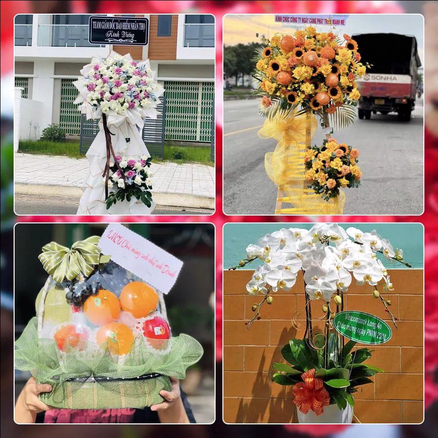 Shop Hoa Tươi Phường Cao Lãnh - Tỉnh Đồng Tháp