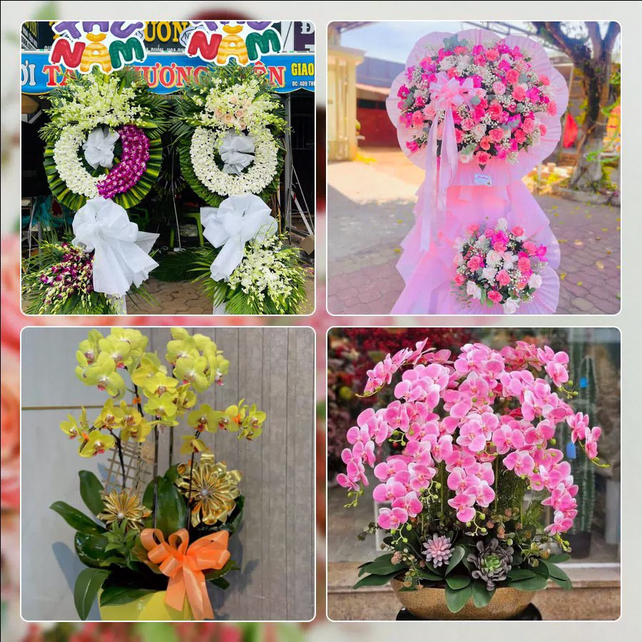 Shop Hoa Tươi Phường Cao Lãnh - Tỉnh Đồng Tháp
