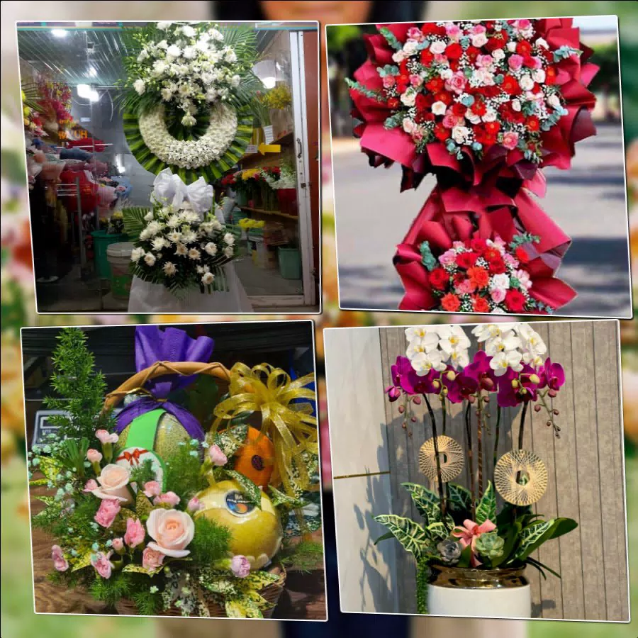 Shop Hoa Tươi Phường Dương Nội - Thành phố Hà Nội