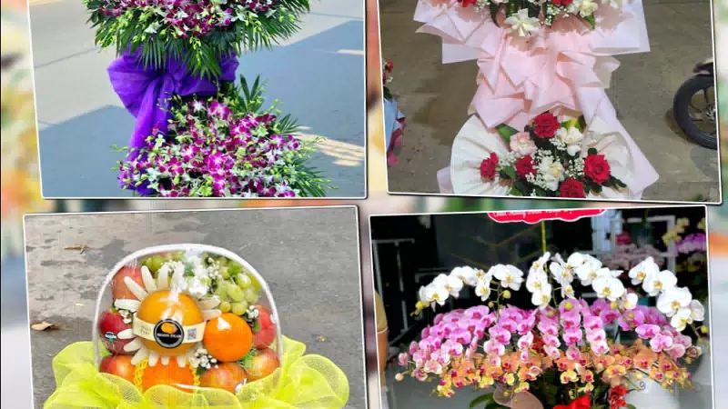 Shop Hoa Tươi Phường Thới Hòa - Thành phố Hồ Chí Minh