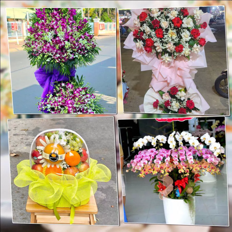 Shop Hoa Tươi Phường Thới Hòa - Thành phố Hồ Chí Minh
