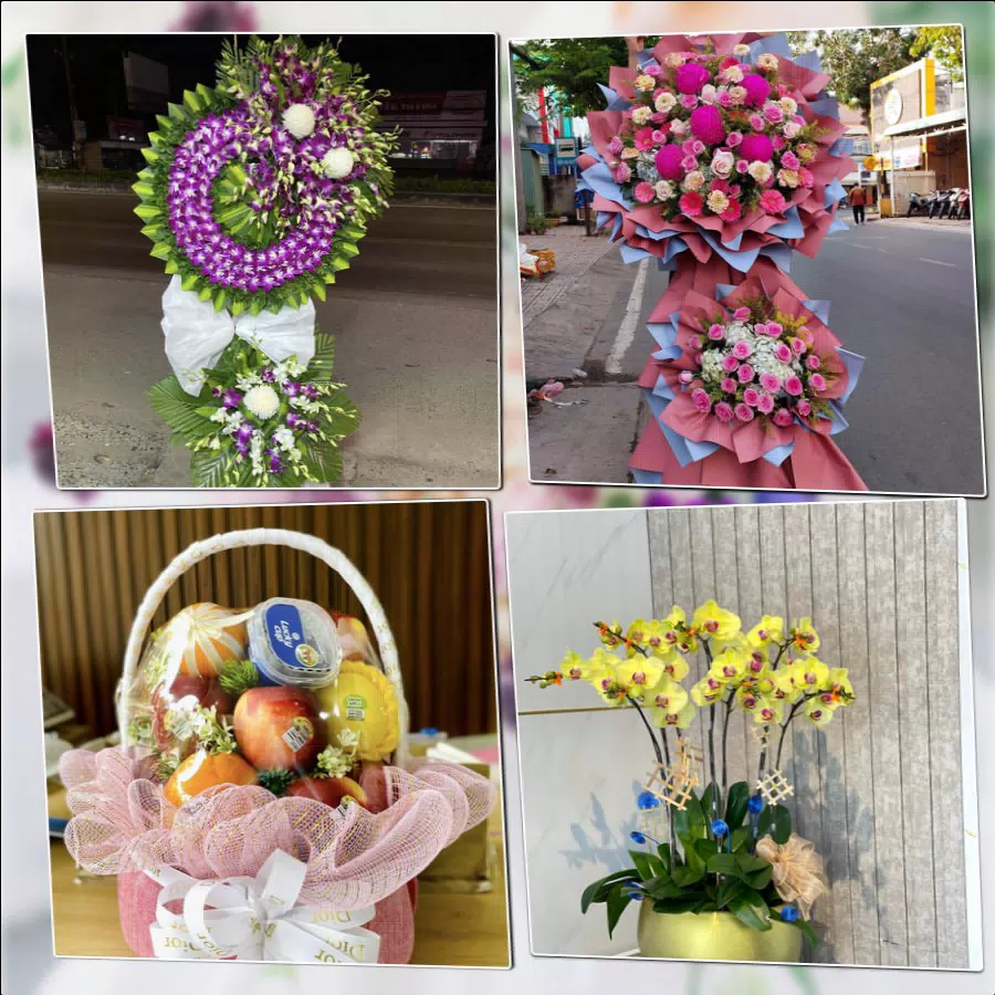 Shop Hoa Tươi Phường Phan Rang - Tỉnh Khánh Hòa