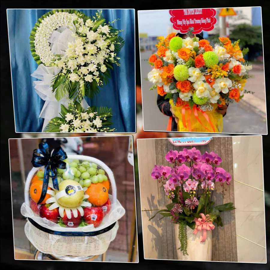 Shop Hoa Tươi Phường Hải Dương - Thành phố Hải Phòng