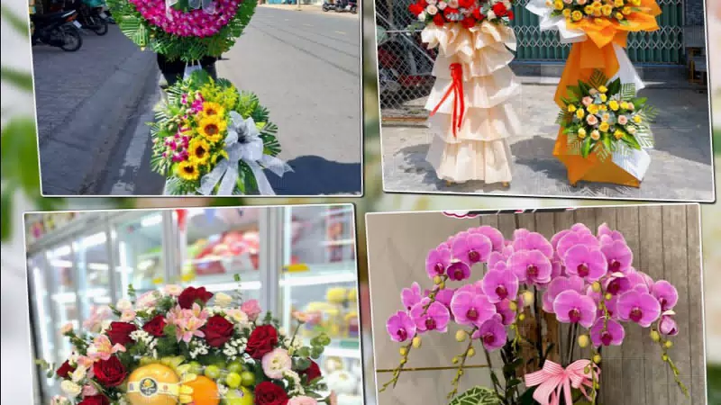 Shop Hoa Tươi Phường Trảng Dài - Tỉnh Đồng Nai