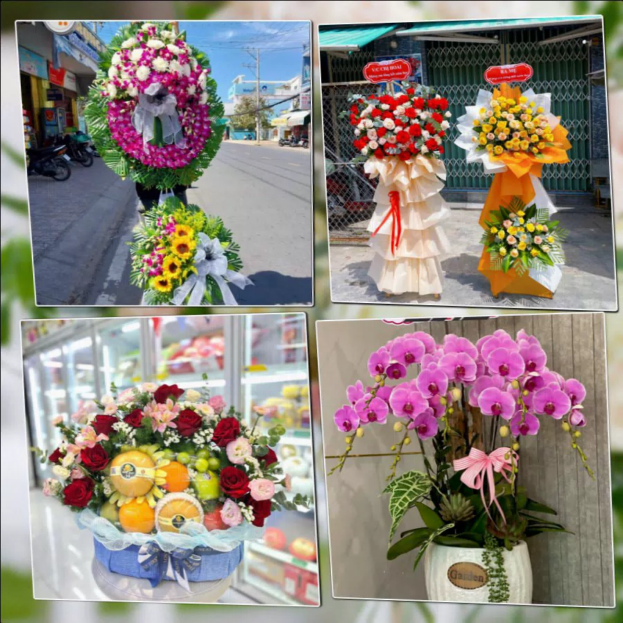Shop Hoa Tươi Phường Trảng Dài - Tỉnh Đồng Nai