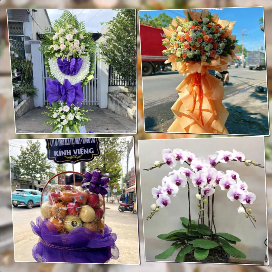 Shop Hoa Tươi Phường Trảng Dài - Tỉnh Đồng Nai
