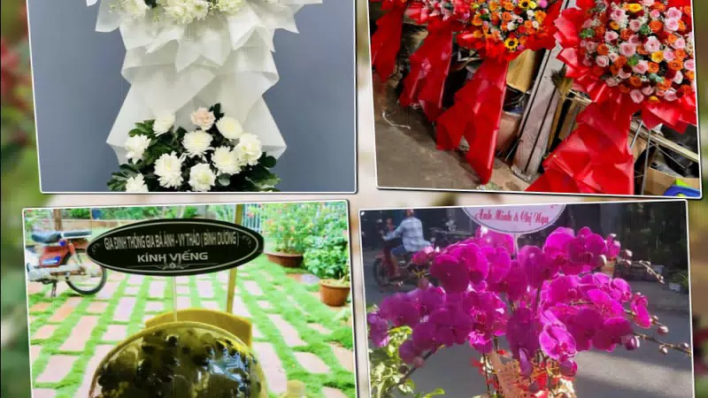 Shop Hoa Tươi Phường Mỹ Tho - Tỉnh Đồng Tháp