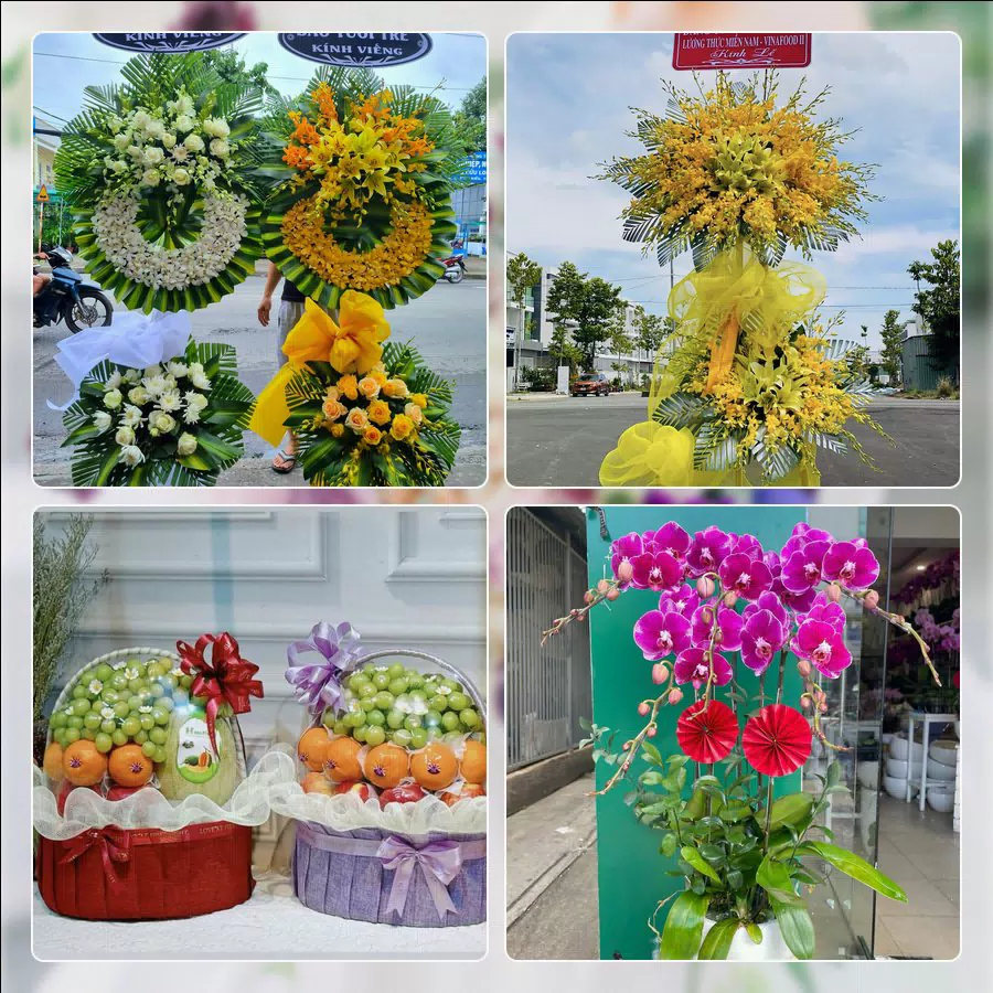 Shop Hoa Tươi Phường Sơn Tây - Thành phố Hà Nội