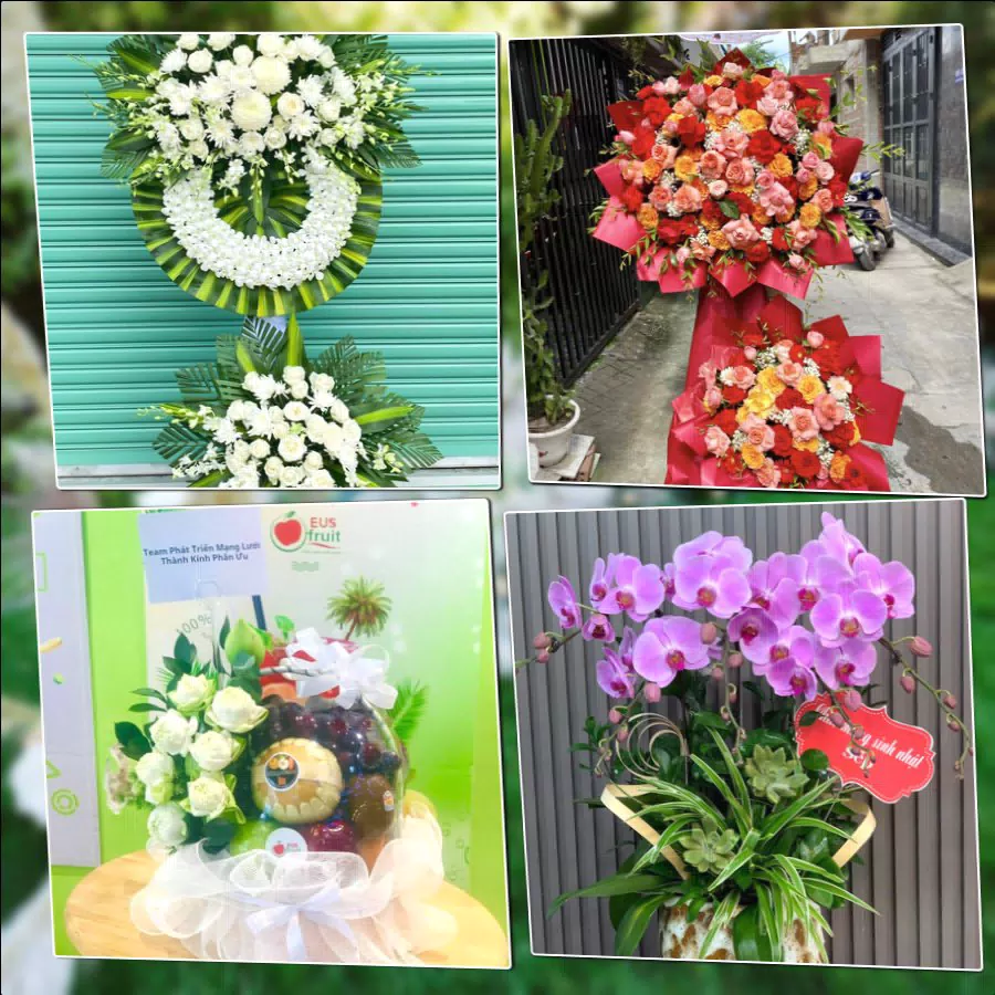 Shop Hoa Tươi Phường Sơn Tây - Thành phố Hà Nội