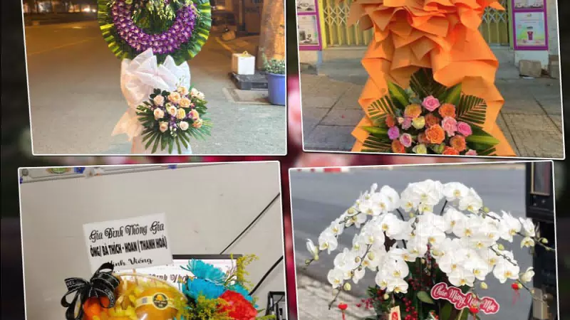 Shop Hoa Tươi Phường Tây Nha Trang - Tỉnh Khánh Hòa