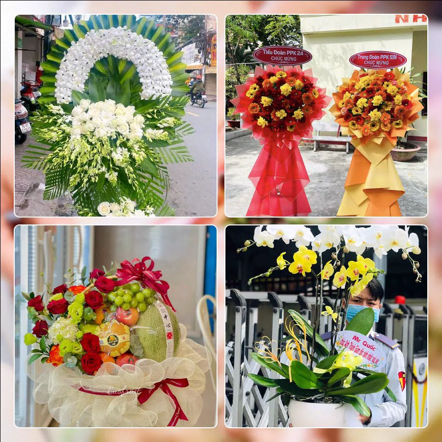 Shop Hoa Tươi Phường Tây Nha Trang - Tỉnh Khánh Hòa