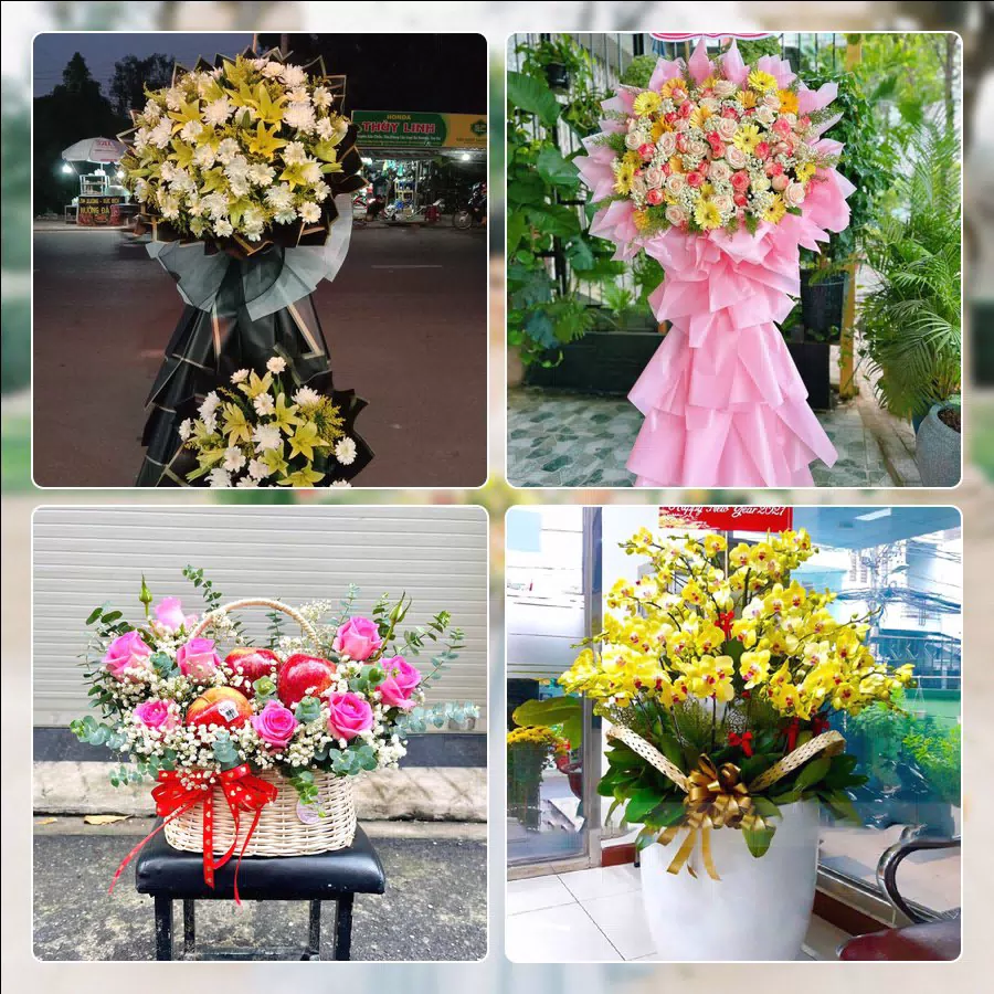 Shop Hoa Tươi Phường Long An - Tỉnh Tây Ninh
