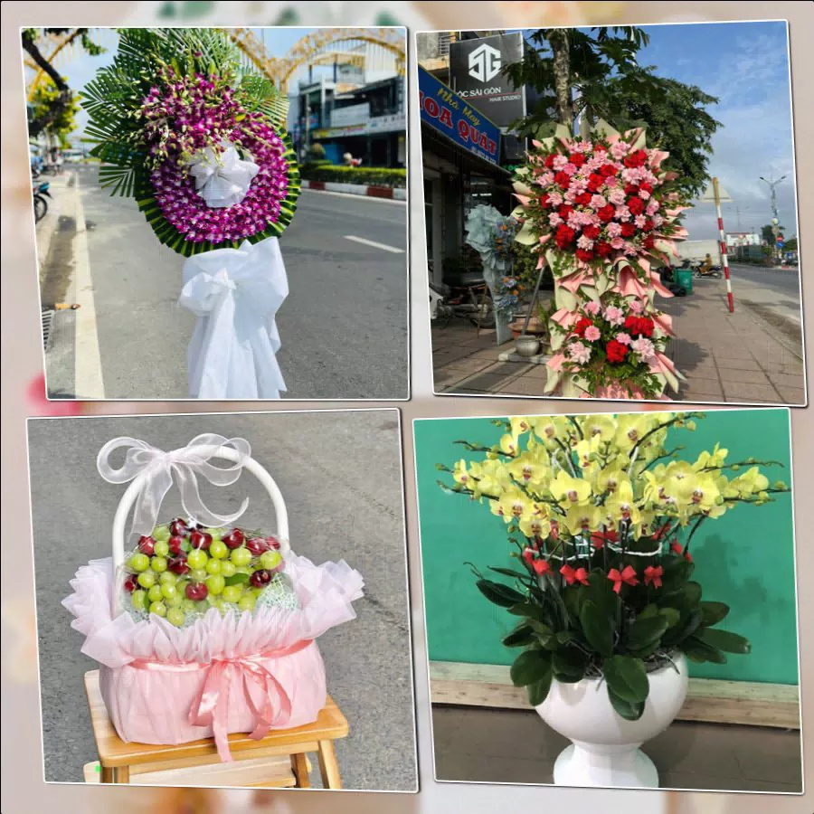 Shop Hoa Tươi Phường Long An - Tỉnh Tây Ninh