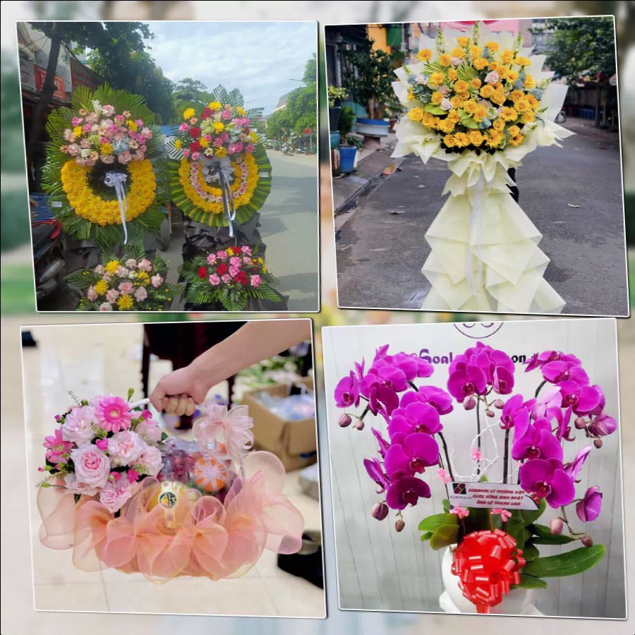 Shop Hoa Tươi Phường Cát Lái - Thành phố Hồ Chí Minh
