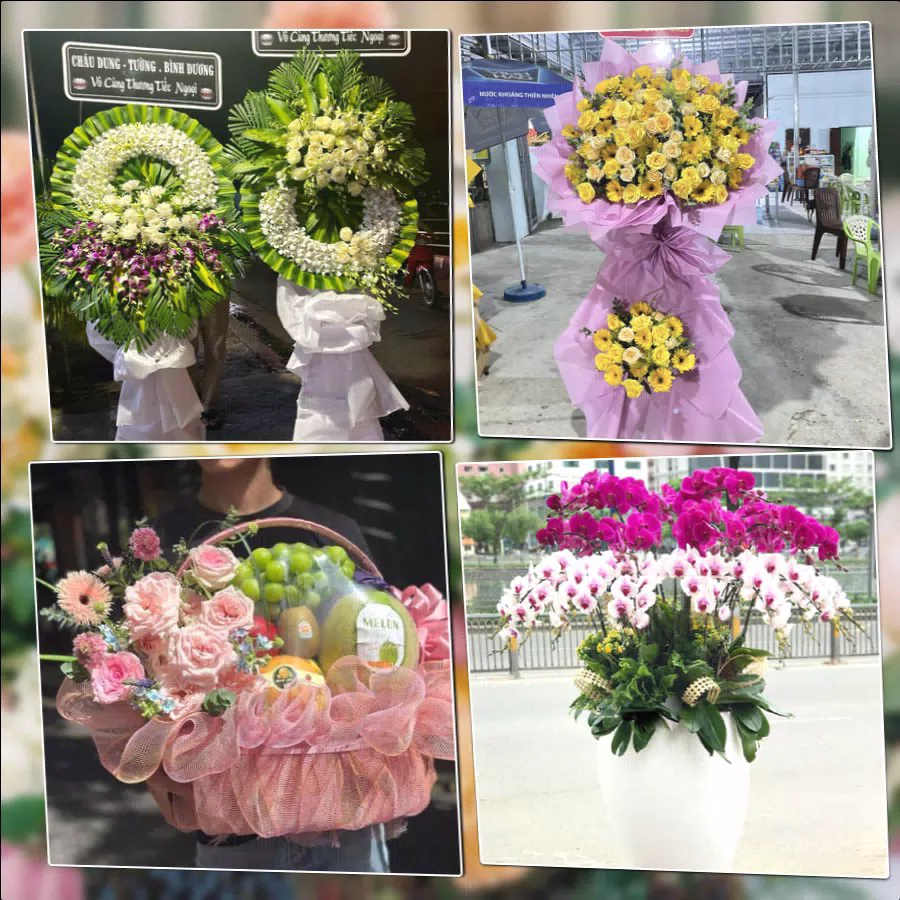 Shop Hoa Tươi Phường Nha Trang - Tỉnh Khánh Hòa