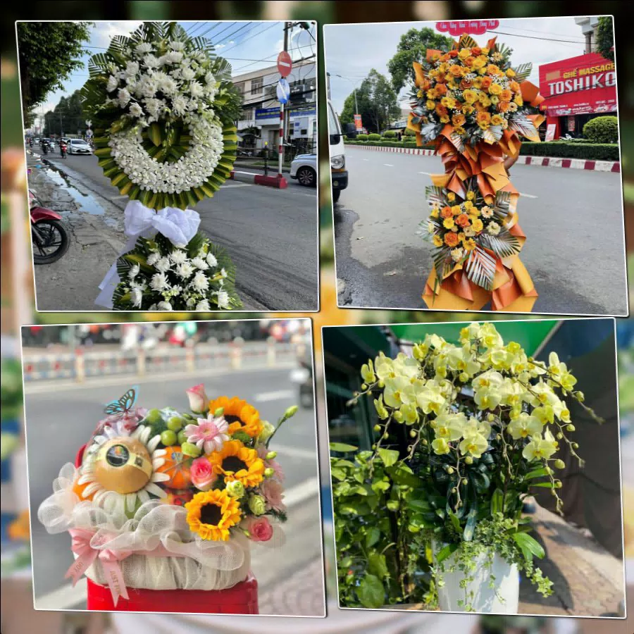 Shop Hoa Tươi Phường Châu Đốc - Tỉnh An Giang