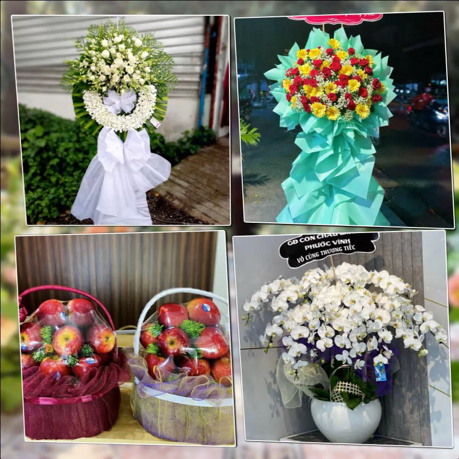 Shop Hoa Tươi Phường Trần Lãm - Tỉnh Hưng Yên