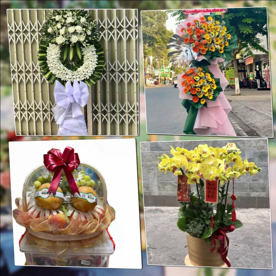 Shop Hoa Tươi Phường Phú Lương - Thành phố Hà Nội