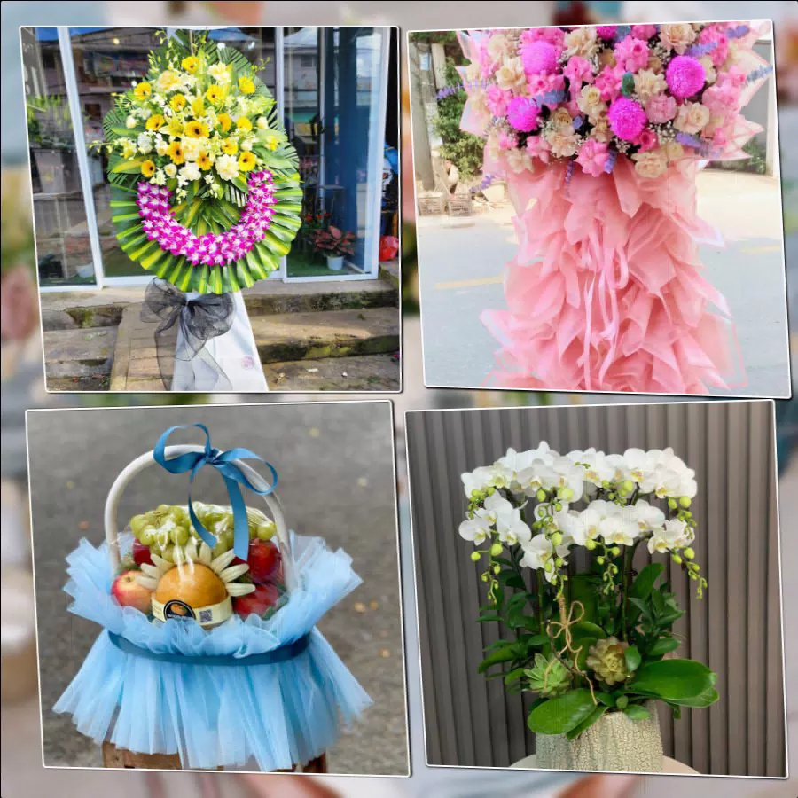 Mẫu hoa tươi ThuyHoaTuoi.Com giao tại Phường Phú Lương, Hà Nội